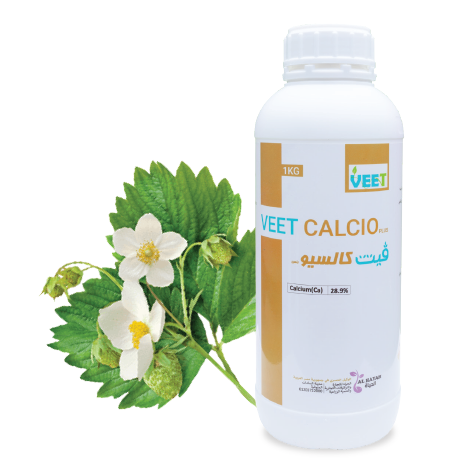 فيت كالسيو بلس