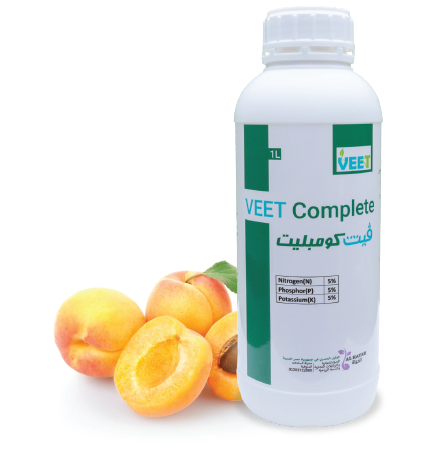 فيت كومبليت