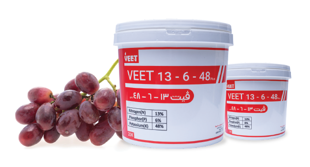 Veet 13-6-48